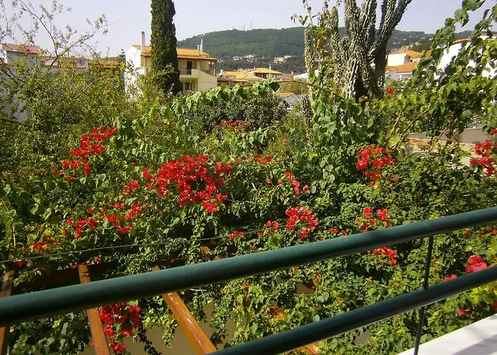 Pansion Chrisa Guest house